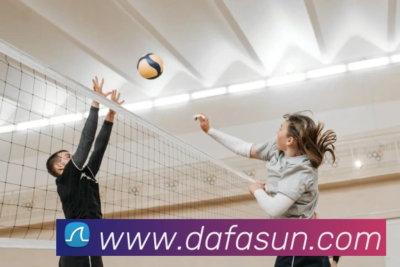 大发娱乐平台生态图